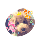 おばけのお千代と義理のお姉ちゃん達（個別スタンプ：2）