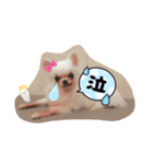 おばけのお千代と義理のお姉ちゃん達（個別スタンプ：5）