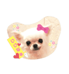 おばけのお千代と義理のお姉ちゃん達（個別スタンプ：9）