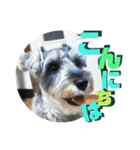 愉快なオレオの日常（個別スタンプ：2）