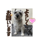 愉快なオレオの日常（個別スタンプ：8）