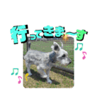 愉快なオレオの日常（個別スタンプ：21）
