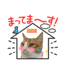 うちの3姉妹ぷらすYUZU（個別スタンプ：2）