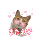 うちの3姉妹ぷらすYUZU（個別スタンプ：19）