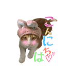 うちの3姉妹ぷらすYUZU（個別スタンプ：23）