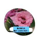 月山いつこ来ンスタンプ35カレークロ猫3（個別スタンプ：13）