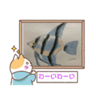 熱帯魚002（個別スタンプ：1）