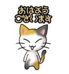 猫ねこにゃんこ その1（三毛）日常会話（個別スタンプ：1）