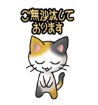 猫ねこにゃんこ その1（三毛）日常会話（個別スタンプ：2）