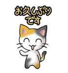 猫ねこにゃんこ その1（三毛）日常会話（個別スタンプ：3）