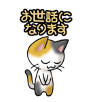 猫ねこにゃんこ その1（三毛）日常会話（個別スタンプ：4）