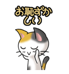 猫ねこにゃんこ その1（三毛）日常会話（個別スタンプ：6）