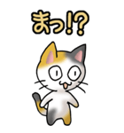 猫ねこにゃんこ その1（三毛）日常会話（個別スタンプ：9）