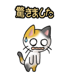 猫ねこにゃんこ その1（三毛）日常会話（個別スタンプ：10）