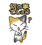 猫ねこにゃんこ その1（三毛）日常会話（個別スタンプ：11）