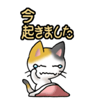 猫ねこにゃんこ その1（三毛）日常会話（個別スタンプ：13）