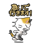 猫ねこにゃんこ その1（三毛）日常会話（個別スタンプ：14）