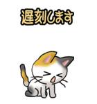 猫ねこにゃんこ その1（三毛）日常会話（個別スタンプ：15）