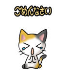 猫ねこにゃんこ その1（三毛）日常会話（個別スタンプ：16）