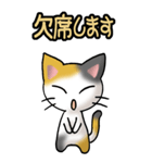 猫ねこにゃんこ その1（三毛）日常会話（個別スタンプ：17）