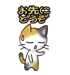 猫ねこにゃんこ その1（三毛）日常会話（個別スタンプ：19）