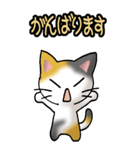 猫ねこにゃんこ その1（三毛）日常会話（個別スタンプ：22）