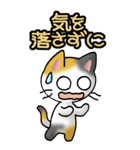 猫ねこにゃんこ その1（三毛）日常会話（個別スタンプ：23）