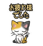 猫ねこにゃんこ その1（三毛）日常会話（個別スタンプ：24）