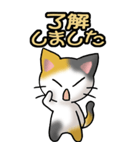 猫ねこにゃんこ その1（三毛）日常会話（個別スタンプ：26）