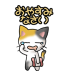 猫ねこにゃんこ その1（三毛）日常会話（個別スタンプ：28）