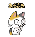 猫ねこにゃんこ その1（三毛）日常会話（個別スタンプ：30）