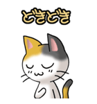 猫ねこにゃんこ その1（三毛）日常会話（個別スタンプ：31）