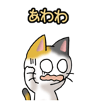 猫ねこにゃんこ その1（三毛）日常会話（個別スタンプ：32）