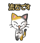 猫ねこにゃんこ その1（三毛）日常会話（個別スタンプ：33）