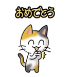 猫ねこにゃんこ その1（三毛）日常会話（個別スタンプ：35）