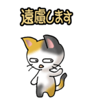 猫ねこにゃんこ その1（三毛）日常会話（個別スタンプ：39）