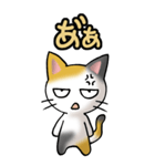 猫ねこにゃんこ その1（三毛）日常会話（個別スタンプ：40）