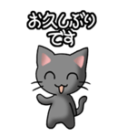 猫ねこにゃんこ その1（黒）日常会話（個別スタンプ：3）