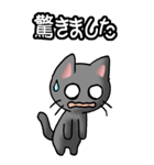 猫ねこにゃんこ その1（黒）日常会話（個別スタンプ：10）