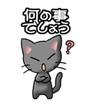 猫ねこにゃんこ その1（黒）日常会話（個別スタンプ：11）