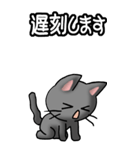 猫ねこにゃんこ その1（黒）日常会話（個別スタンプ：15）