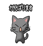 猫ねこにゃんこ その1（黒）日常会話（個別スタンプ：22）