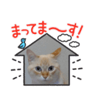 sasakamaneco（個別スタンプ：21）