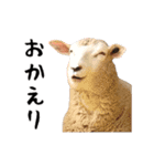 動く！カワウソと動物の仲間たち（個別スタンプ：14）