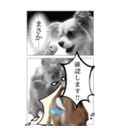 愛犬Bigコナンちゃん（個別スタンプ：16）