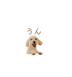 ことんちゃんのことんぷ（個別スタンプ：7）
