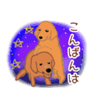 動物と花の優しい言葉（個別スタンプ：24）