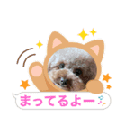 愛月パート12（個別スタンプ：1）