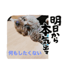 愛月パート12（個別スタンプ：5）