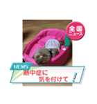 愛月パート12（個別スタンプ：6）